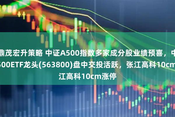 鼎茂宏升策略 中证A500指数多家成分股业绩预喜，中证A500ETF龙头(563800)盘中交投活跃，张江高科10cm涨停